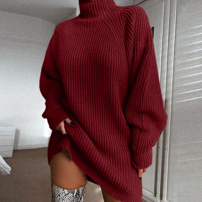 Warm and Stylish Women's Sweater Dress