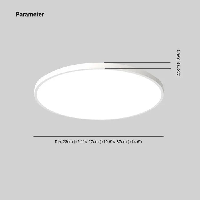 OrbGlow Elegant LED Ceiling Light