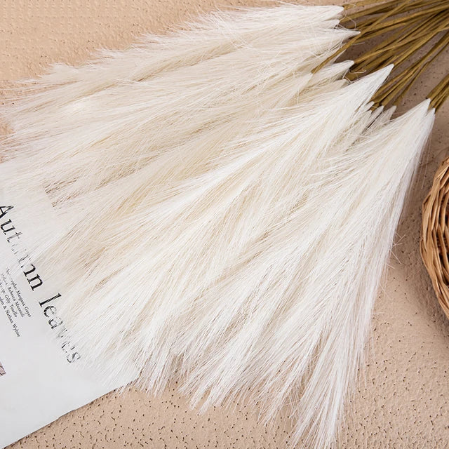 Embrace the Natural Elegance of Pampas for Your Interior
