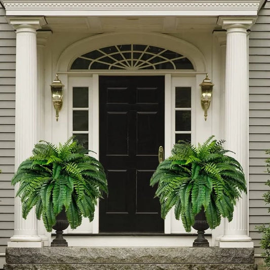 Buy One, Get One Free | Realistic UV-Resistant Artificial Boston Fern
