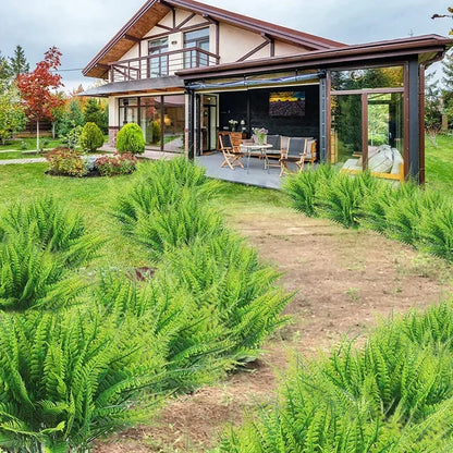 Buy One, Get One Free | Realistic UV-Resistant Artificial Boston Fern