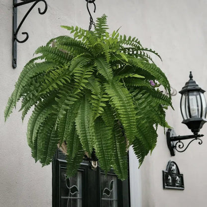 Buy One, Get One Free | Realistic UV-Resistant Artificial Boston Fern
