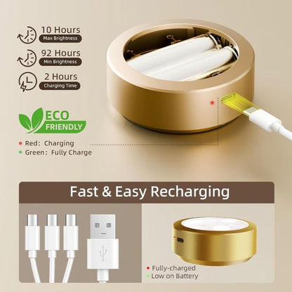 Magnetic LED Artwork Accent Lighting