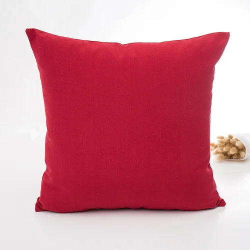 Chic Living Room Cushion