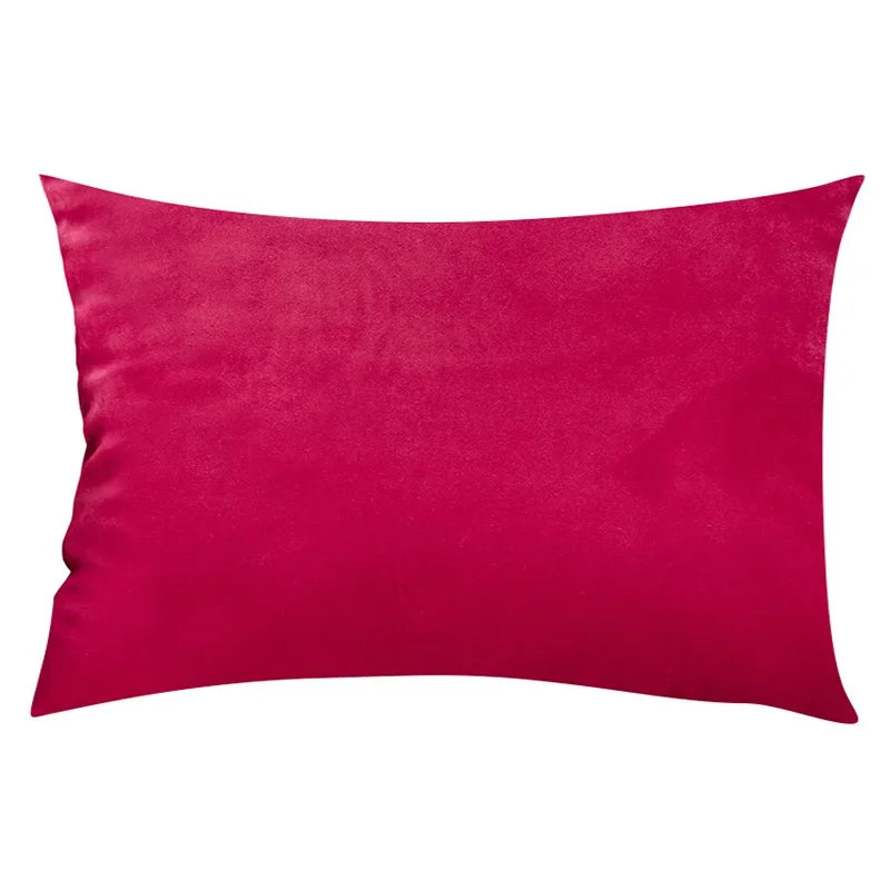 Chic Velvet Cushion in Premium Quality
