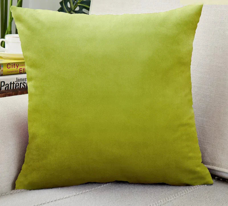Chic Decorative Pillow Cover