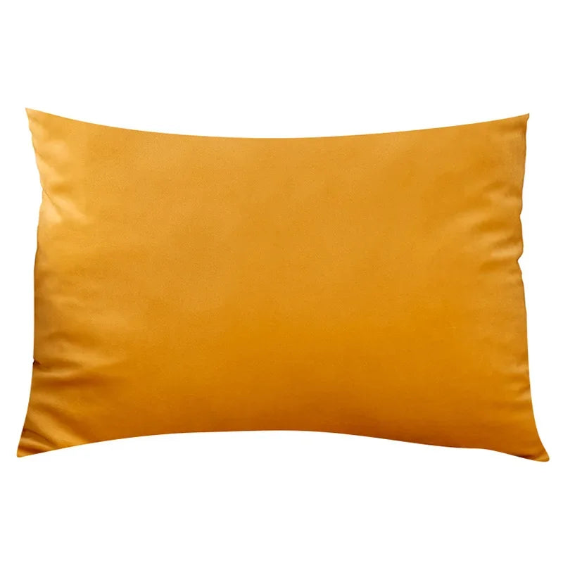 Chic Velvet Cushion in Premium Quality