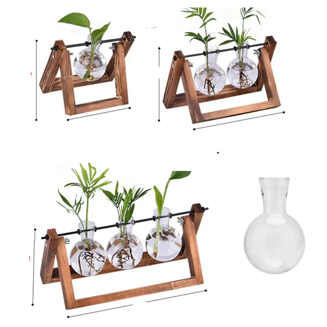 Contemporary Hydroponic Planter Featuring a Wooden Base