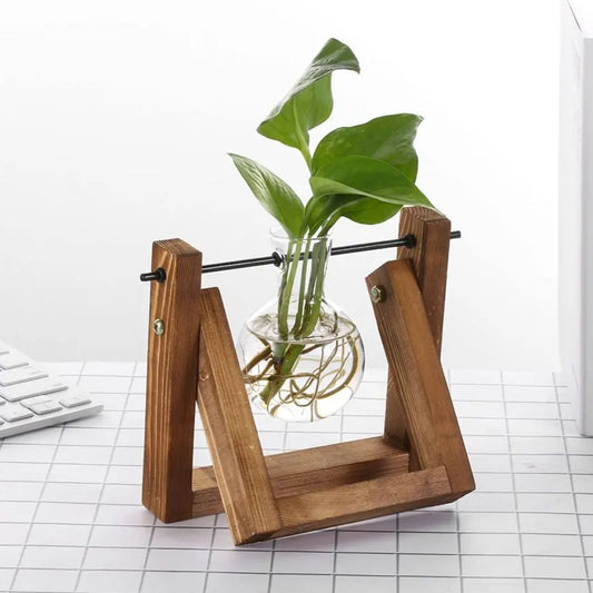 Contemporary Hydroponic Planter Featuring a Wooden Base