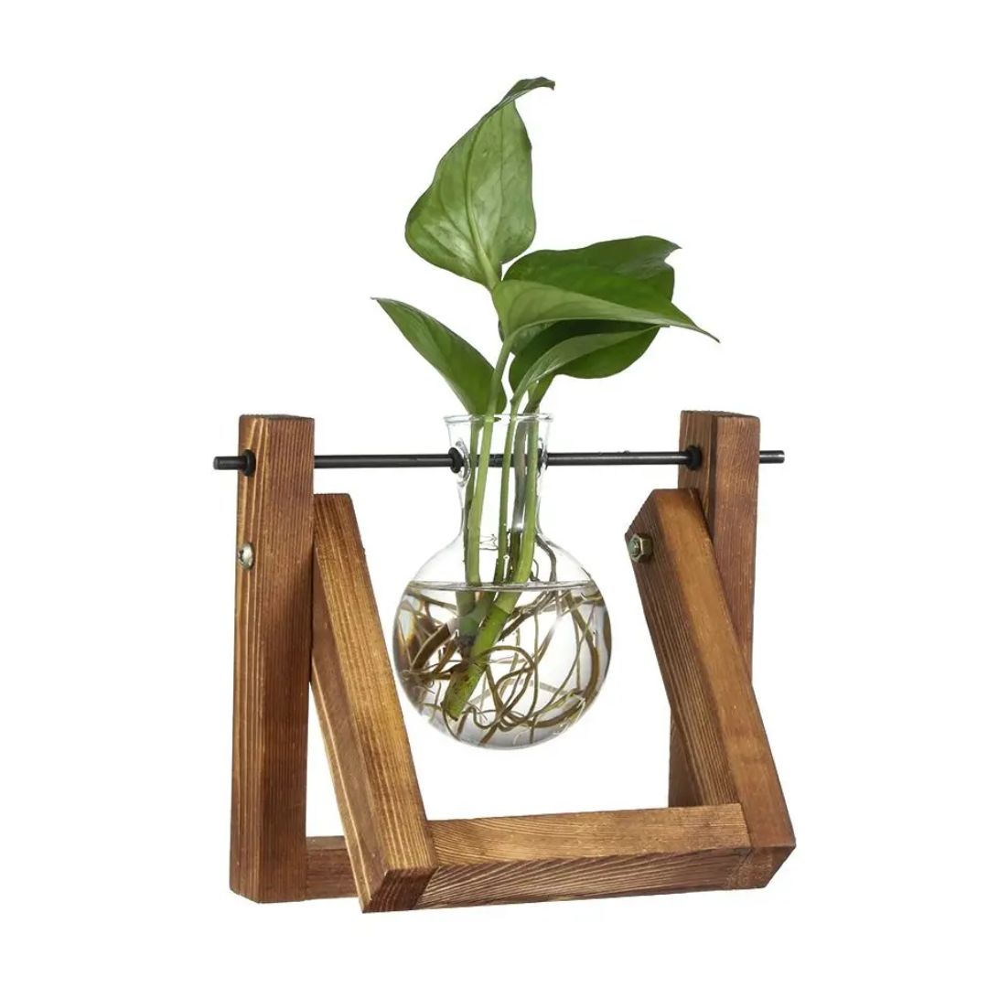Contemporary Hydroponic Planter Featuring a Wooden Base