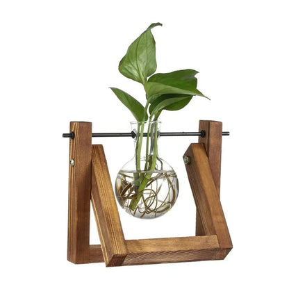 Contemporary Hydroponic Planter Featuring a Wooden Base