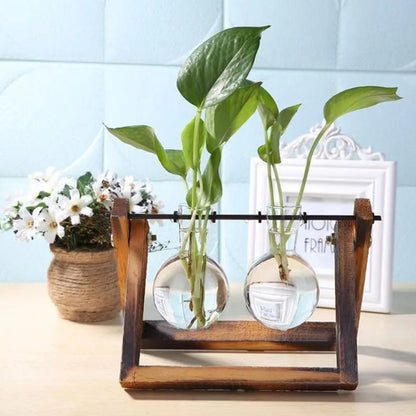 Contemporary Hydroponic Planter Featuring a Wooden Base