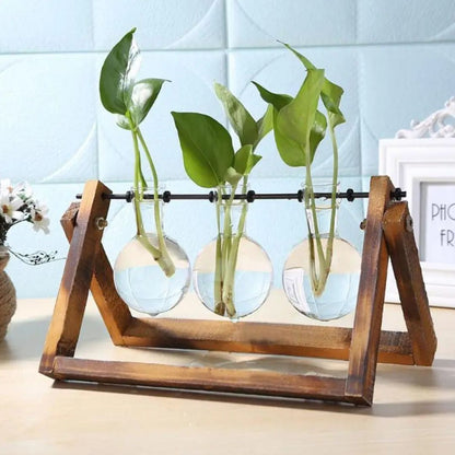 Contemporary Hydroponic Planter Featuring a Wooden Base