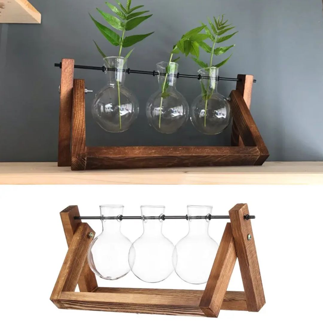 Contemporary Hydroponic Planter Featuring a Wooden Base