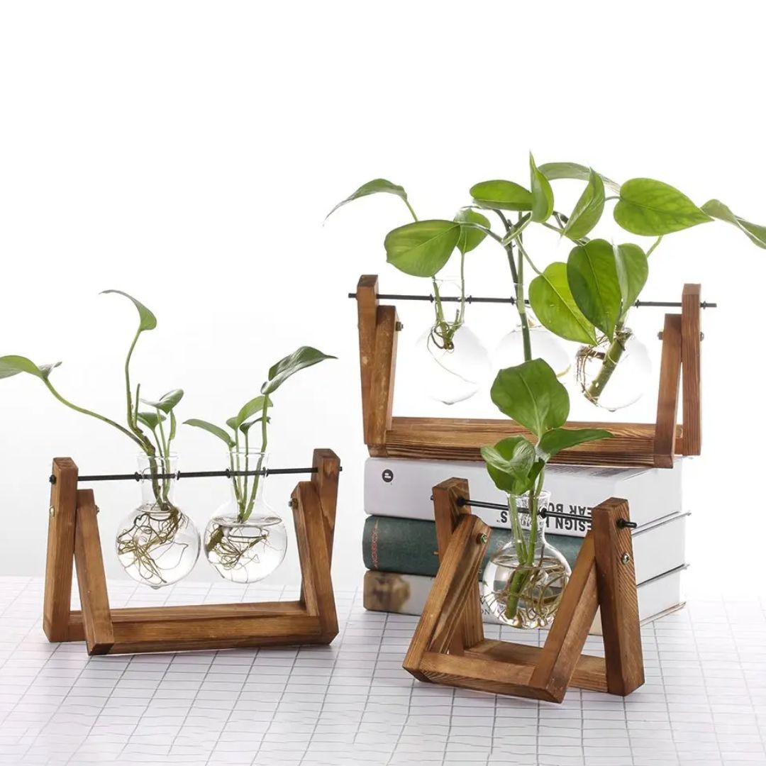 Contemporary Hydroponic Planter Featuring a Wooden Base