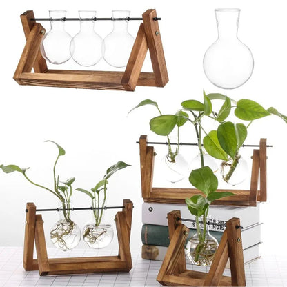 Contemporary Hydroponic Planter Featuring a Wooden Base
