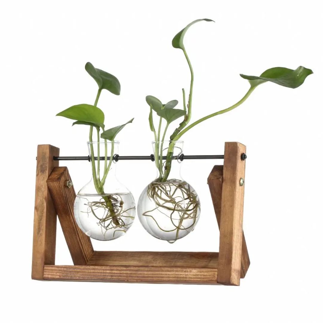 Contemporary Hydroponic Planter Featuring a Wooden Base