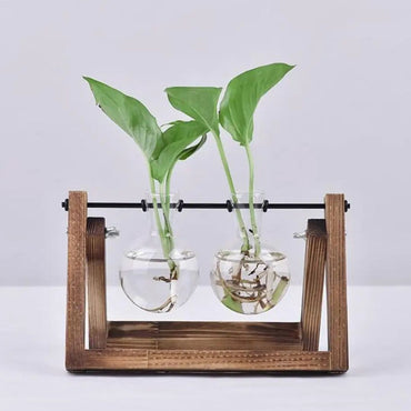 Contemporary Hydroponic Planter Featuring a Wooden Base