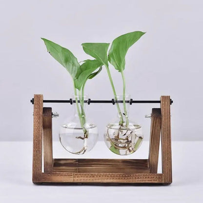 Contemporary Hydroponic Planter Featuring a Wooden Base