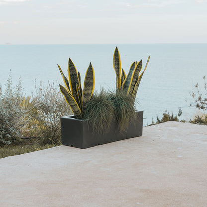 Chic Planter to Brighten Up Your Space