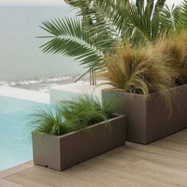 Chic Planter to Brighten Up Your Space