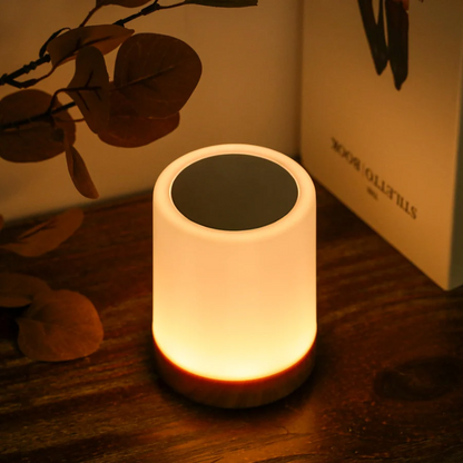 Contemporary LuxeTouch Night Light with Stunning Light Effects